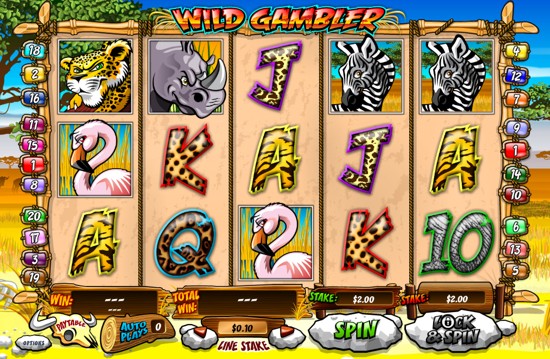  Wild Gambler